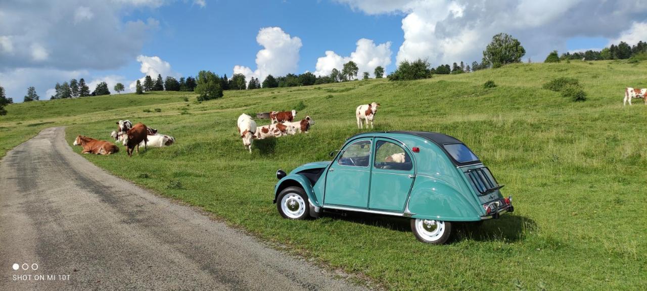 Le Jura En Toutes Saisons Piscine, Spa, Location Vtt, Balades 2Cv, Climatisation Bonlieu Buitenkant foto